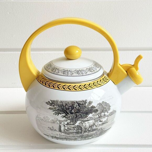 Audun Ferme By Villeroy & Boch Metal Enamel Tea Kettle 6 Cup Farm Design RARE - Picture 1 of 16